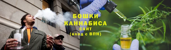 spice Богородицк