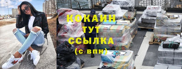 шишки Горняк