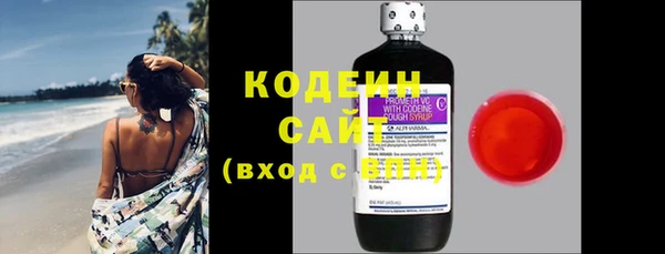 гашик Вяземский