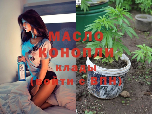 spice Богородицк